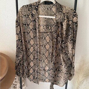 Sheer Button-up Blouse